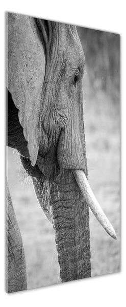 Tablou pe pe sticlă elefant