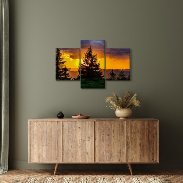 Tablou - coniferi (90x60 cm)