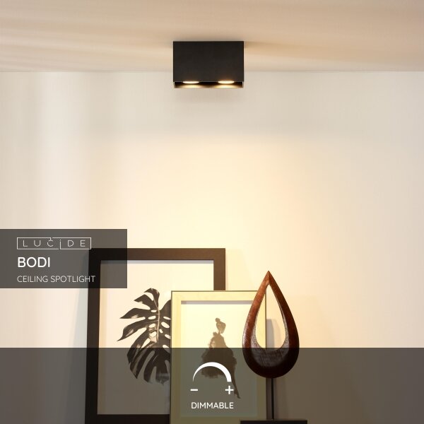 Lucide 09101/02/30 - Lampa spot BODI 2xGU10/50W/230V