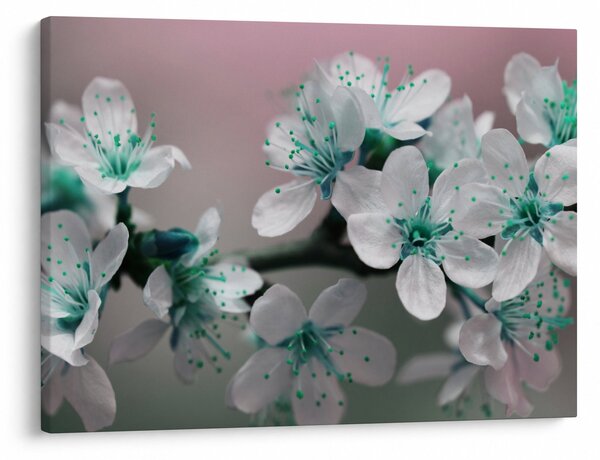Tablou cu floare - turcoaz (70x50 cm)