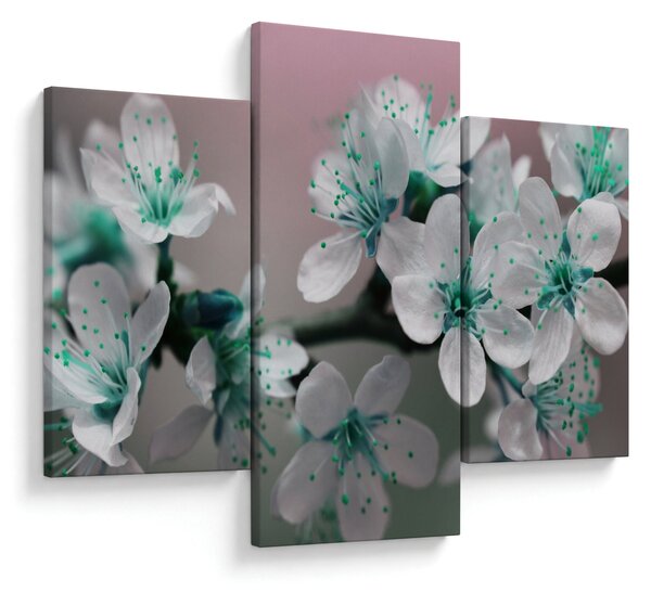 Tablou cu floare - turcoaz (90x60 cm)