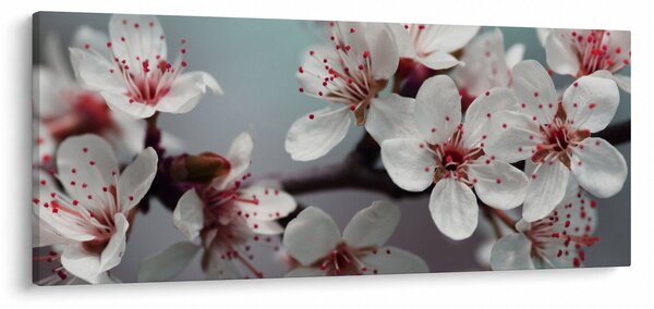 Tablou cu floare - roșie (120x50 cm)