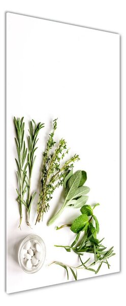 Tablou sticlă Ierburi
