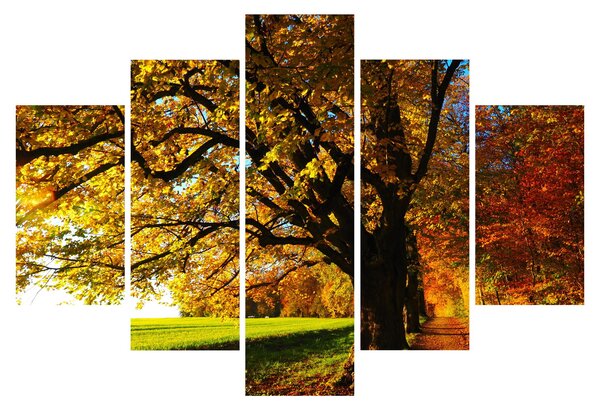 Tablou cu copac toamna (150x105 cm)