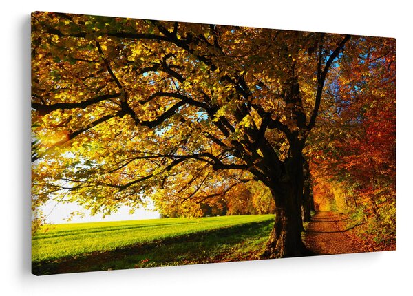 Tablou cu toamna (90x60 cm)