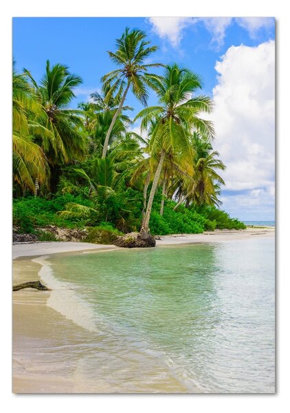 Fotografie imprimată pe sticlă plaja tropicala