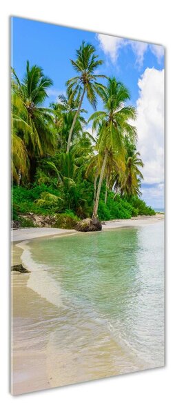 Fotografie imprimată pe sticlă plaja tropicala