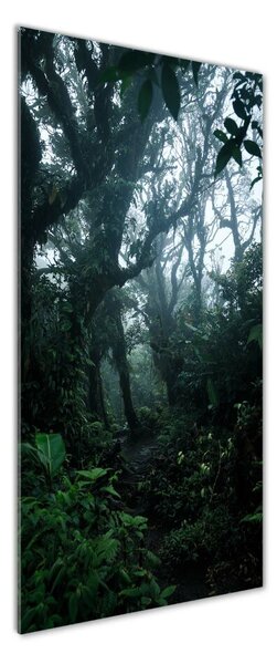 Fotografie imprimată pe sticlă pădurea tropicală