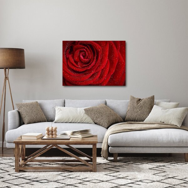 Tablou - detaliu de trandafir (70x50 cm)