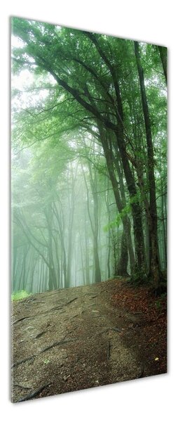 Tablou din Sticlă Ceață în pădure