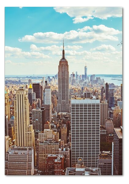Tablou pe pe sticlă New York pasăre de zbor
