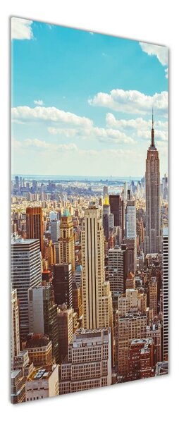Tablou pe pe sticlă New York pasăre de zbor