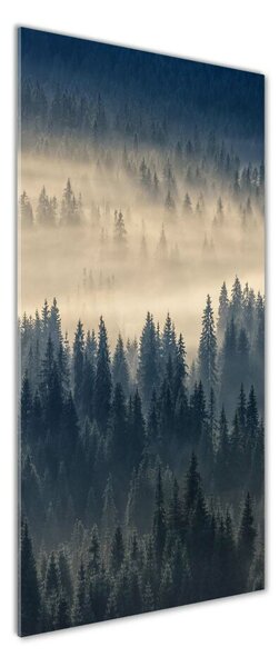 Tablou pe pe sticlă Ceață peste pădure