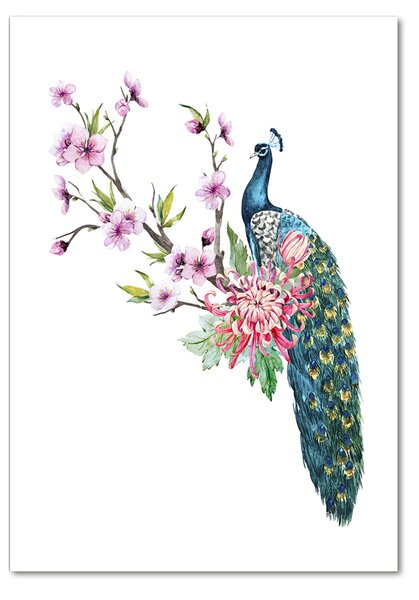 Tablou pe pe sticlă Peacock și flori