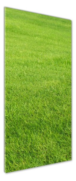 Tablou pe pe sticlă iarbă verde