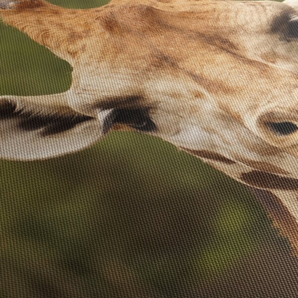 Tablou girafe (90x60 cm)