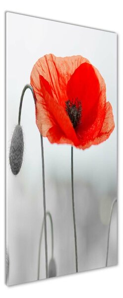 Fotografie imprimată pe sticlă wildflowers maci