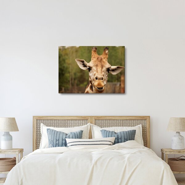 Tablou girafe (70x50 cm)