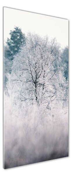 Fotografie imprimată pe sticlă pădure în timpul iernii