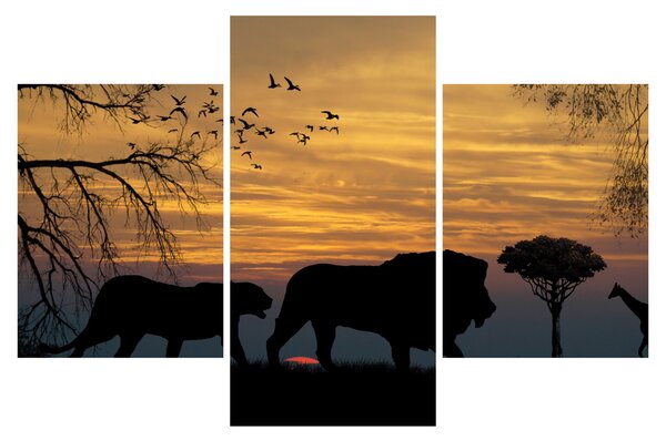 Tablou cu Safari (90x60 cm)