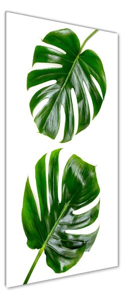 Fotografie imprimată pe sticlă Monstera