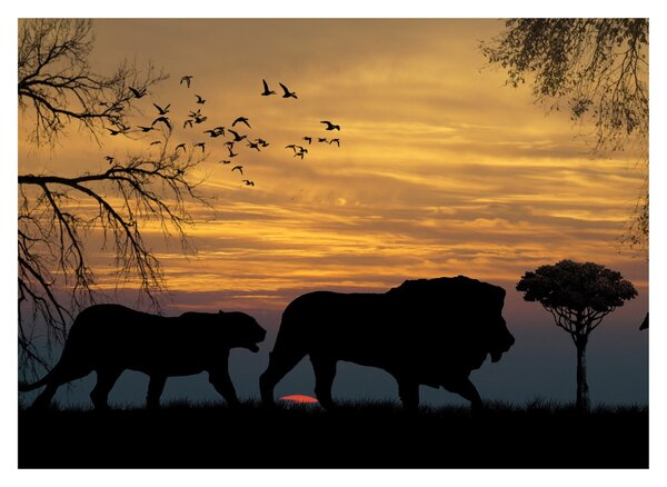 Tablou cu Safari (70x50 cm)
