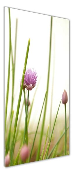 Fotografie imprimată pe sticlă floare arpagic