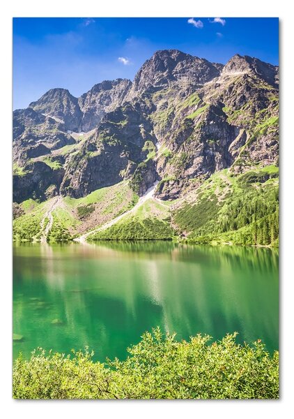 Tablou acrilic Marine ochi Tatry