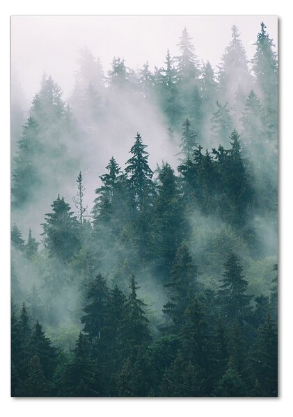 Tablou din Sticlă Ceață peste pădure