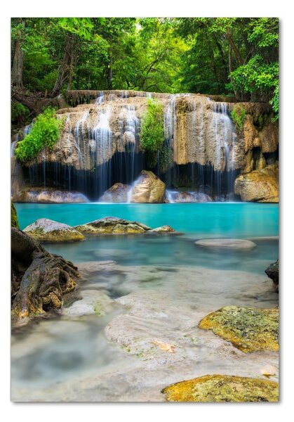 Imagine de sticlă Cascada din junglă