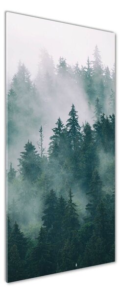 Tablou din Sticlă Ceață peste pădure