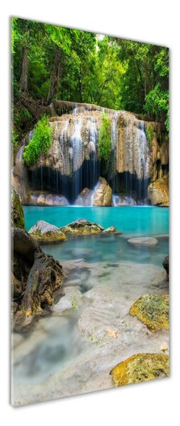 Imagine de sticlă Cascada din junglă