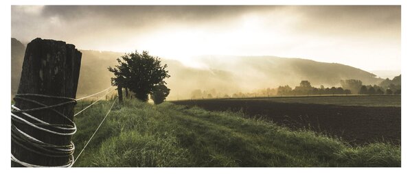 Tablou cu luncă (120x50 cm)