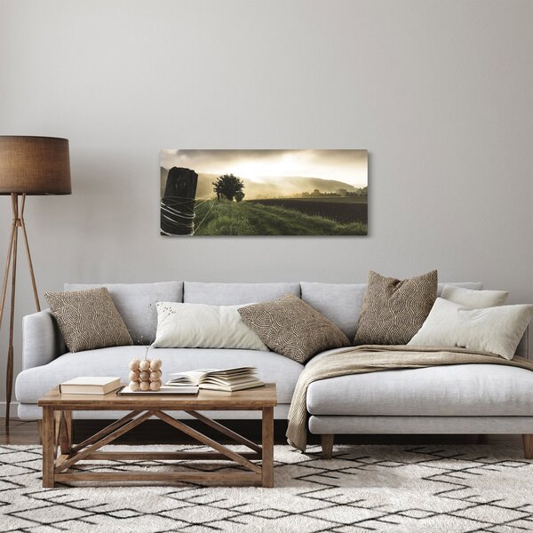 Tablou cu luncă (120x50 cm)