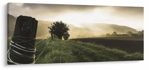 Tablou cu luncă (120x50 cm)