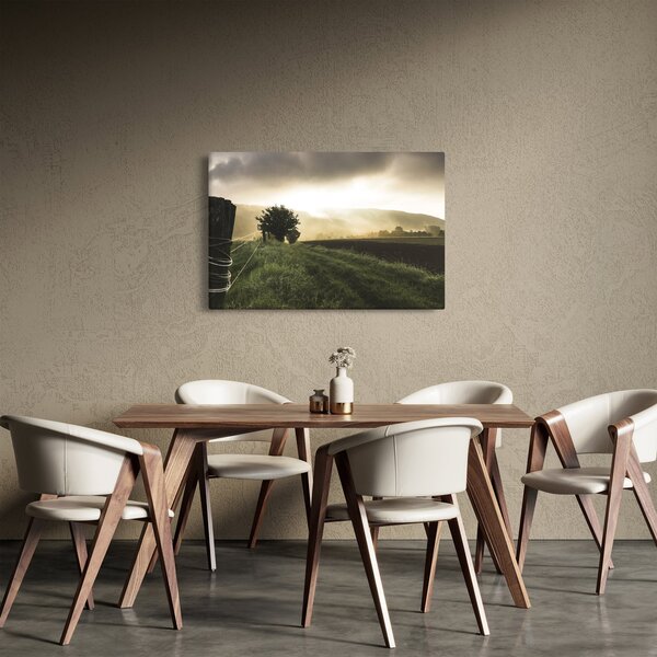 Tablou cu luncă (90x60 cm)