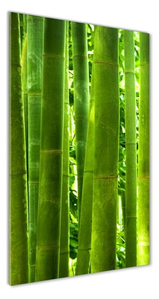 Tablou sticlă acrilică Bambus
