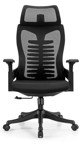 Scaun ergonomic Hale-H, spatar Mesh, sezut textil, Negru
