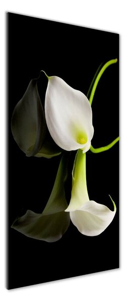 Tablou Printat Pe Sticlă calla alb