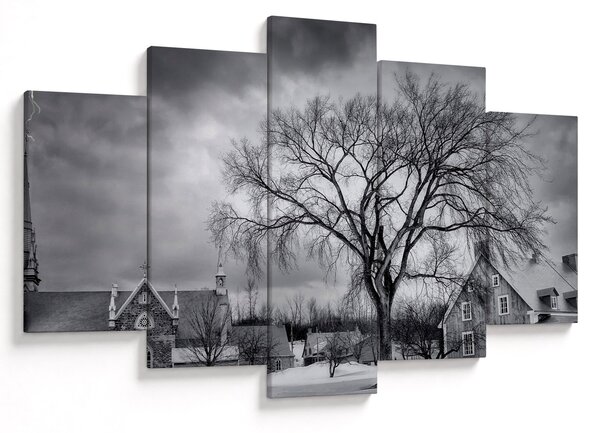 Tablou cu sat alb negru (150x105 cm)