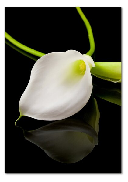Tablou Printat Pe Sticlă calla alb