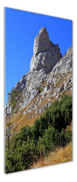 Tablou sticlă Mici Giewont Tatra