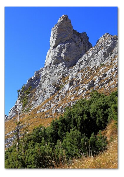 Tablou sticlă Mici Giewont Tatra