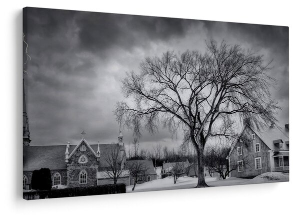 Tablou cu sat alb negru (90x60 cm)