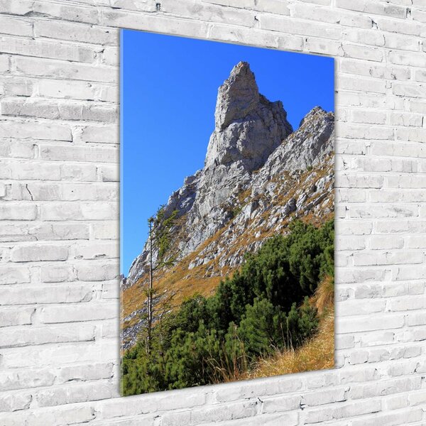 Tablou sticlă Mici Giewont Tatra