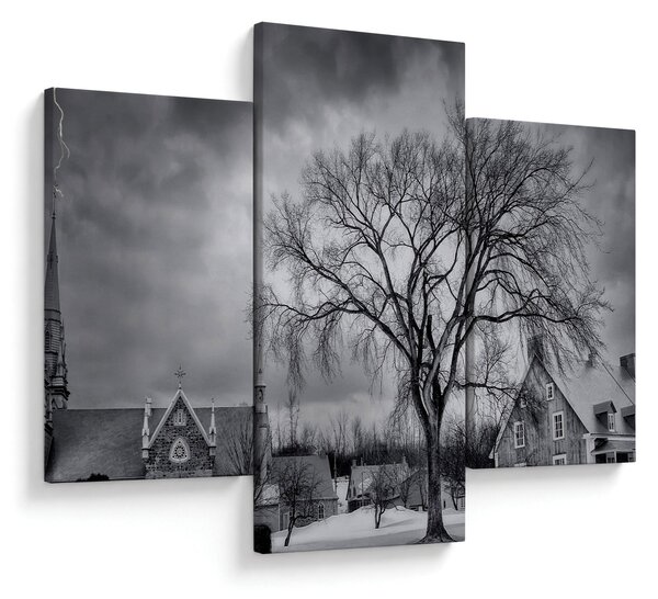 Tablou cu sat alb negru (90x60 cm)