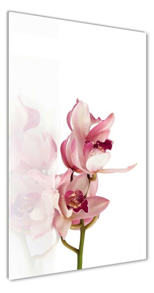 Tablou pe pe sticlă orhidee roz