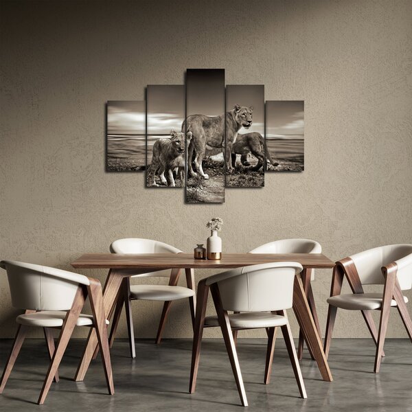 Tablou cu leii alb negri (150x105 cm)