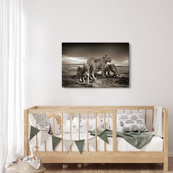 Tablou cu leii alb negri (90x60 cm)