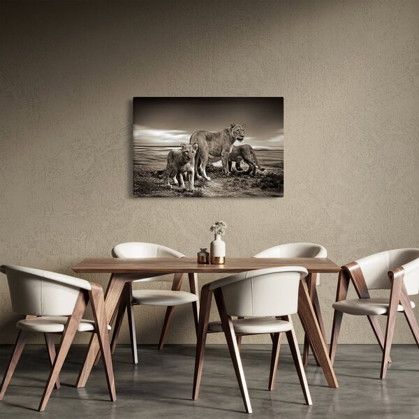 Tablou cu leii alb negri (90x60 cm)